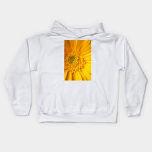 Close Up Yellow Gerbera Daisy Kids Hoodie